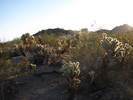 photo thumbnail #3