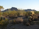 photo thumbnail #4