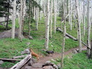 photo thumbnail #1