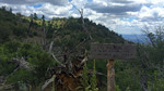 photo thumbnail #13
