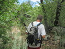 photo thumbnail #7