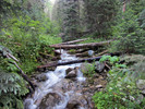 photo thumbnail #1