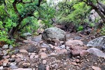 photo thumbnail #12