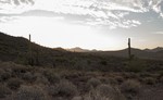 photo thumbnail #5