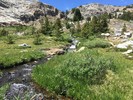 photo thumbnail #13