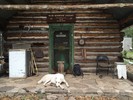 photo thumbnail #8