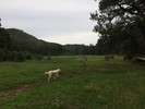 photo thumbnail #12