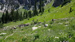 photo thumbnail #9