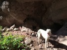 photo thumbnail #5