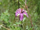 photo thumbnail #11