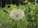 photo thumbnail #12