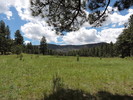photo thumbnail #14