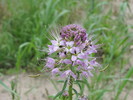 photo thumbnail #15
