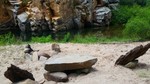 photo thumbnail #7