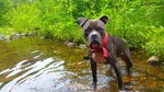 photo thumbnail #8