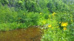 photo thumbnail #10