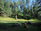 photo thumbnail #8
