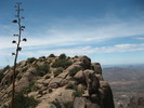 photo thumbnail #3