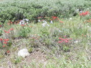 photo thumbnail #11