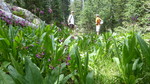 photo thumbnail #1
