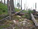 photo thumbnail #14