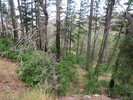 photo thumbnail #9