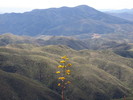 photo thumbnail #14