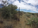 photo thumbnail #7