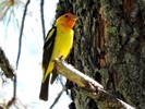 photo thumbnail #3