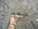 photo thumbnail #12
