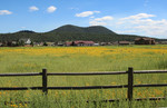 photo thumbnail #8