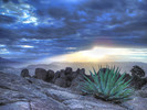 photo thumbnail #4