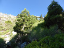 photo thumbnail #12