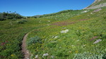 photo thumbnail #10