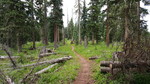 photo thumbnail #1