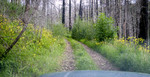 photo thumbnail #9