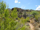 photo thumbnail #1