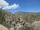 photo thumbnail #5