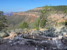 photo thumbnail #5