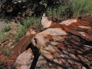 photo thumbnail #14
