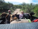 photo thumbnail #5