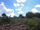 photo thumbnail #13
