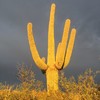 photo thumbnail #1