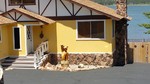 photo thumbnail #5