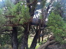 photo thumbnail #13