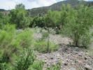 photo thumbnail #13