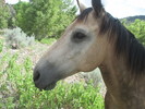 photo thumbnail #14