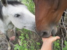 photo thumbnail #15