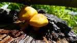 photo thumbnail #8