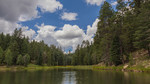 photo thumbnail #11